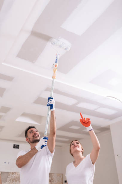 Best Mold Damage Restoration  in Triana, AL