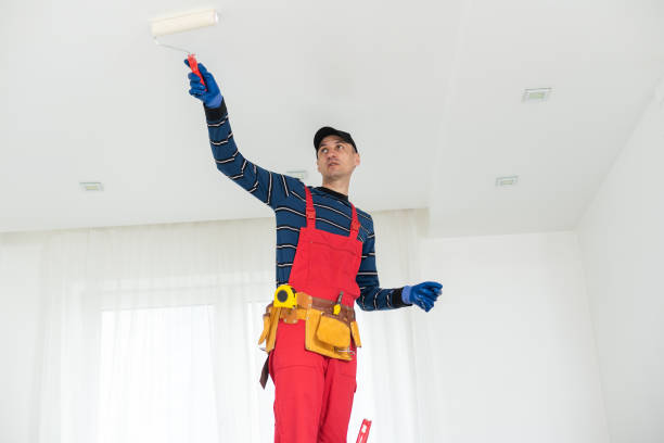 Best Post-Construction Mold Inspection  in Triana, AL