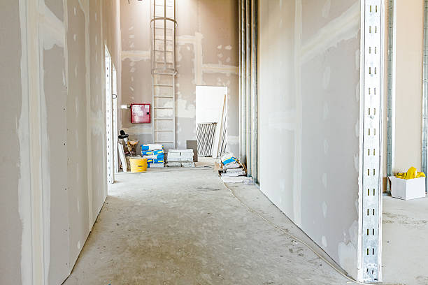 Forensic Mold Investigation in Triana, AL