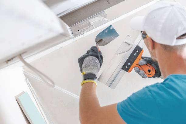 Reliable Triana, AL Mold Removal Solutions
